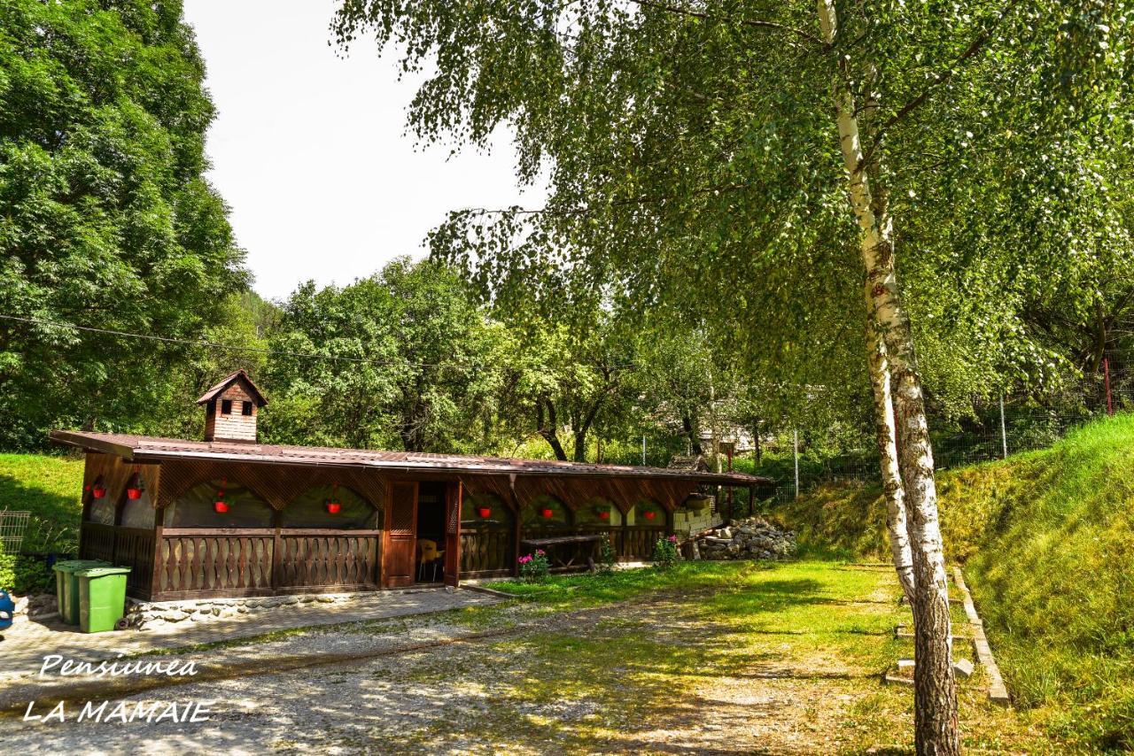 Pensiunea La Mamaie Cheia  Exterior photo